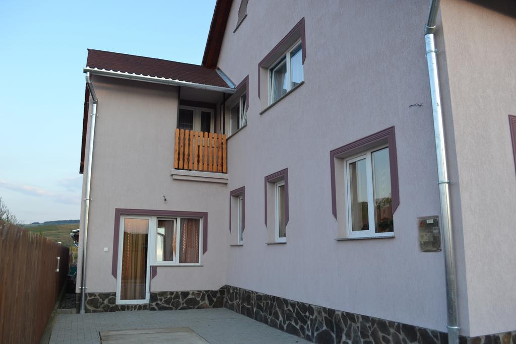 Ersa Panzio Bisericani (Harghita) Exterior foto