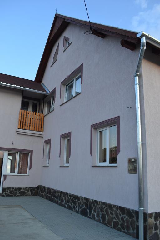 Ersa Panzio Bisericani (Harghita) Exterior foto
