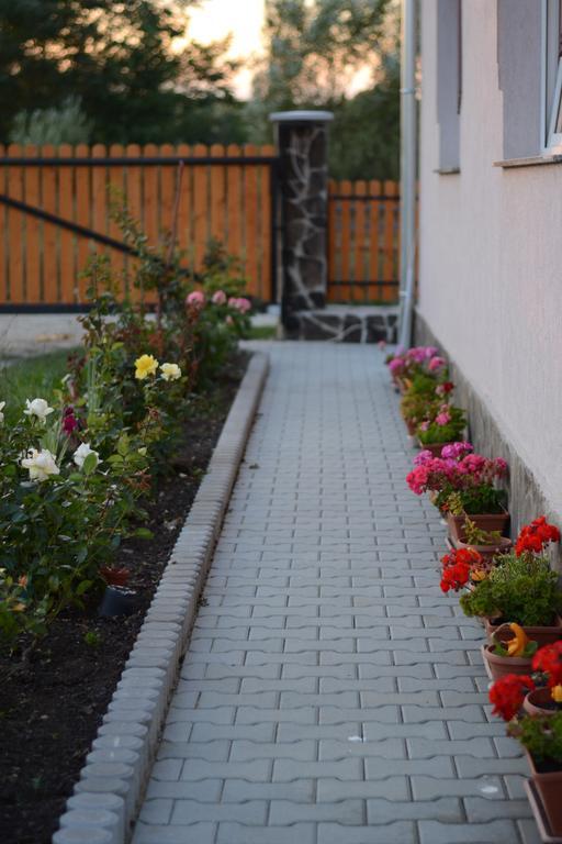 Ersa Panzio Bisericani (Harghita) Exterior foto