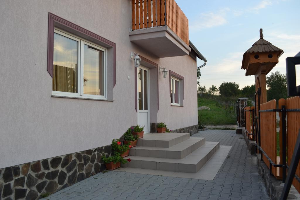 Ersa Panzio Bisericani (Harghita) Exterior foto